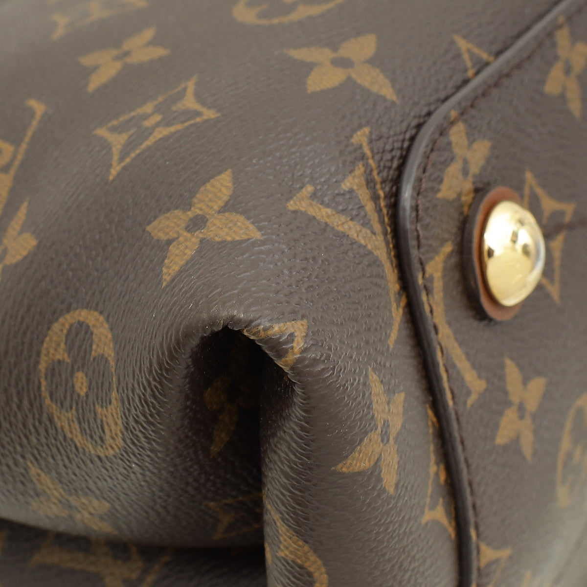 Louis Vuitton Bicolor Monogram Olympe Bag