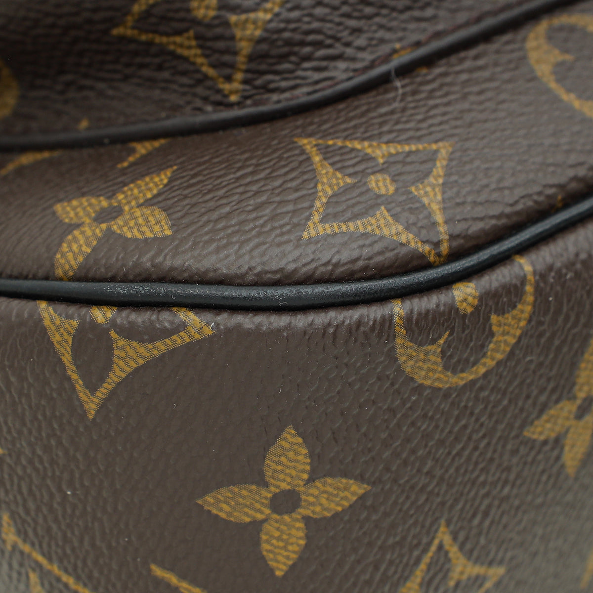 Louis Vuitton Monogram Black Passy Bag