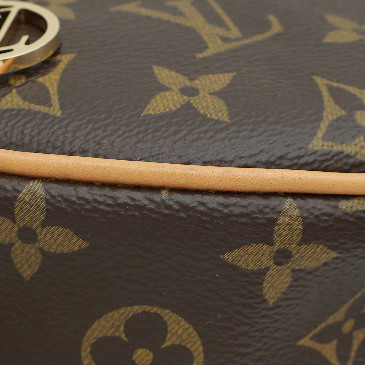 Louis Vuitton Brown Monogram Loop Bag