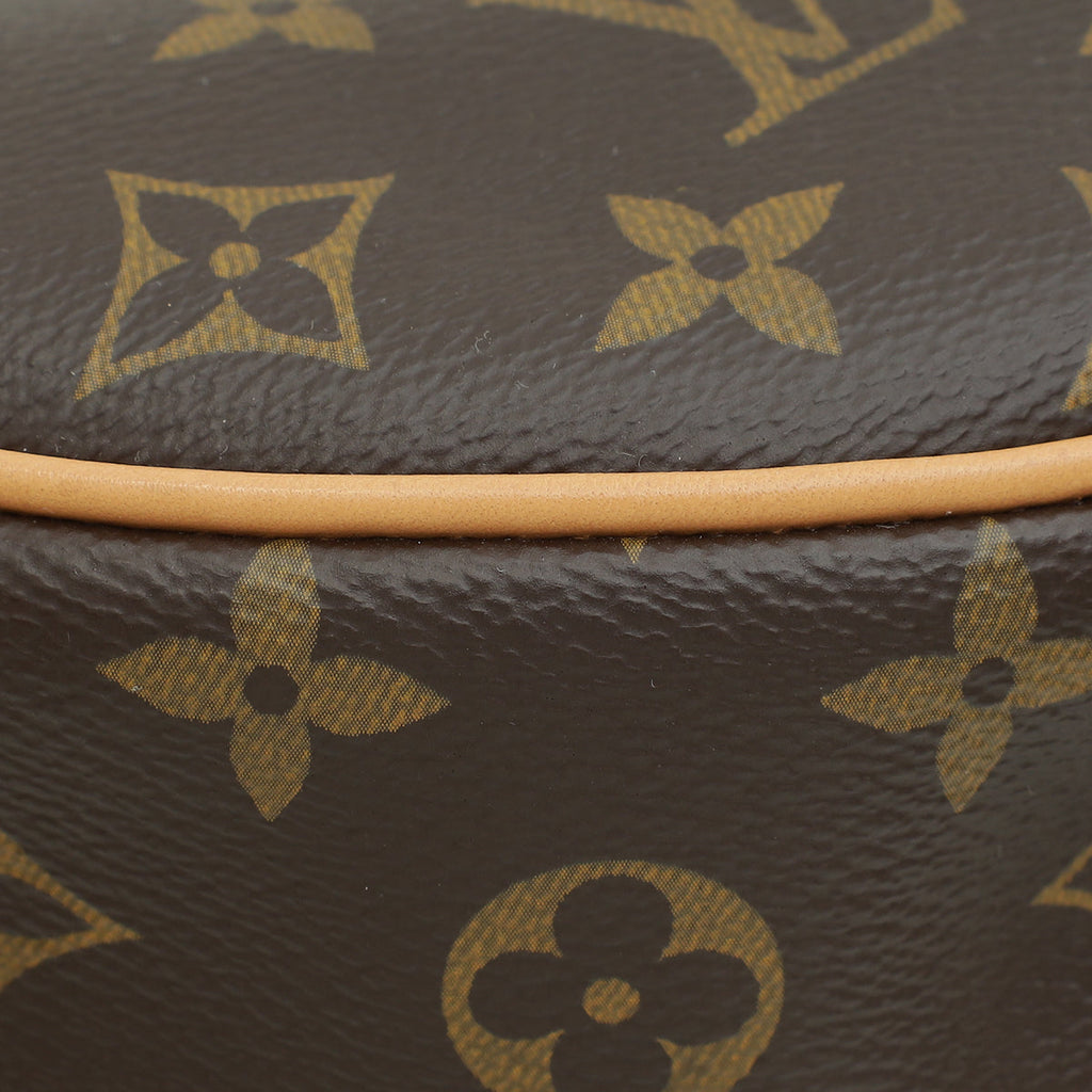 Louis Vuitton Brown Monogram Loop Bag