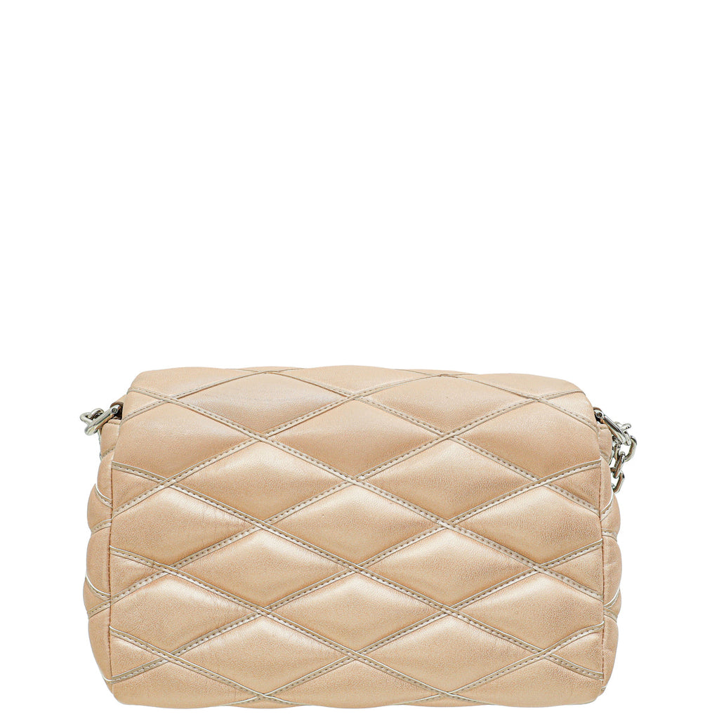 Louis Vuitton Metallic Champaign Go-14 MM Bag