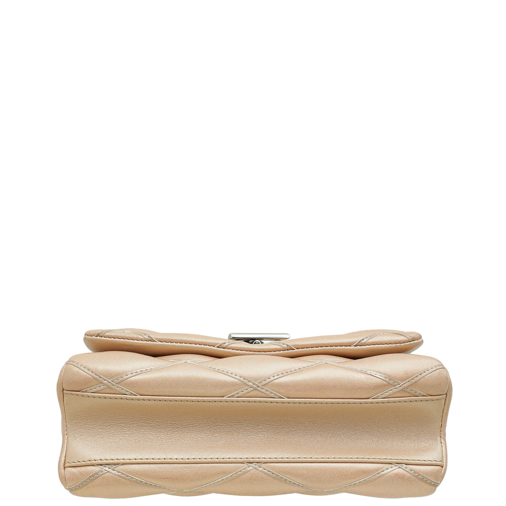 Louis Vuitton Metallic Champaign Go-14 MM Bag