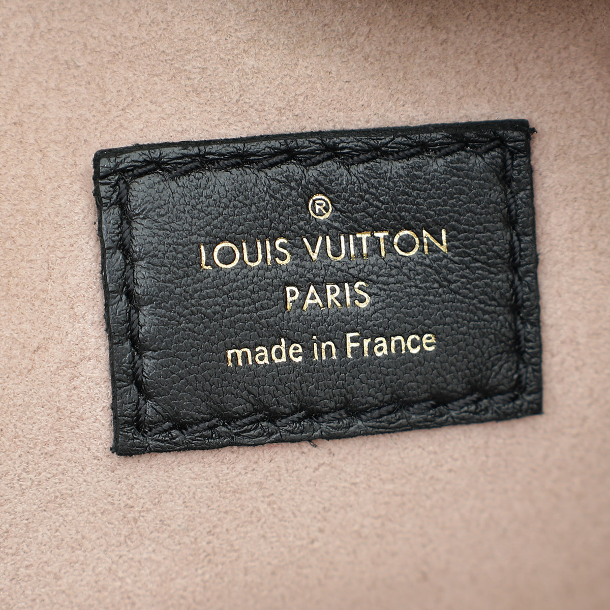 Louis Vuitton Monogram Embossed Coussin PM Bag