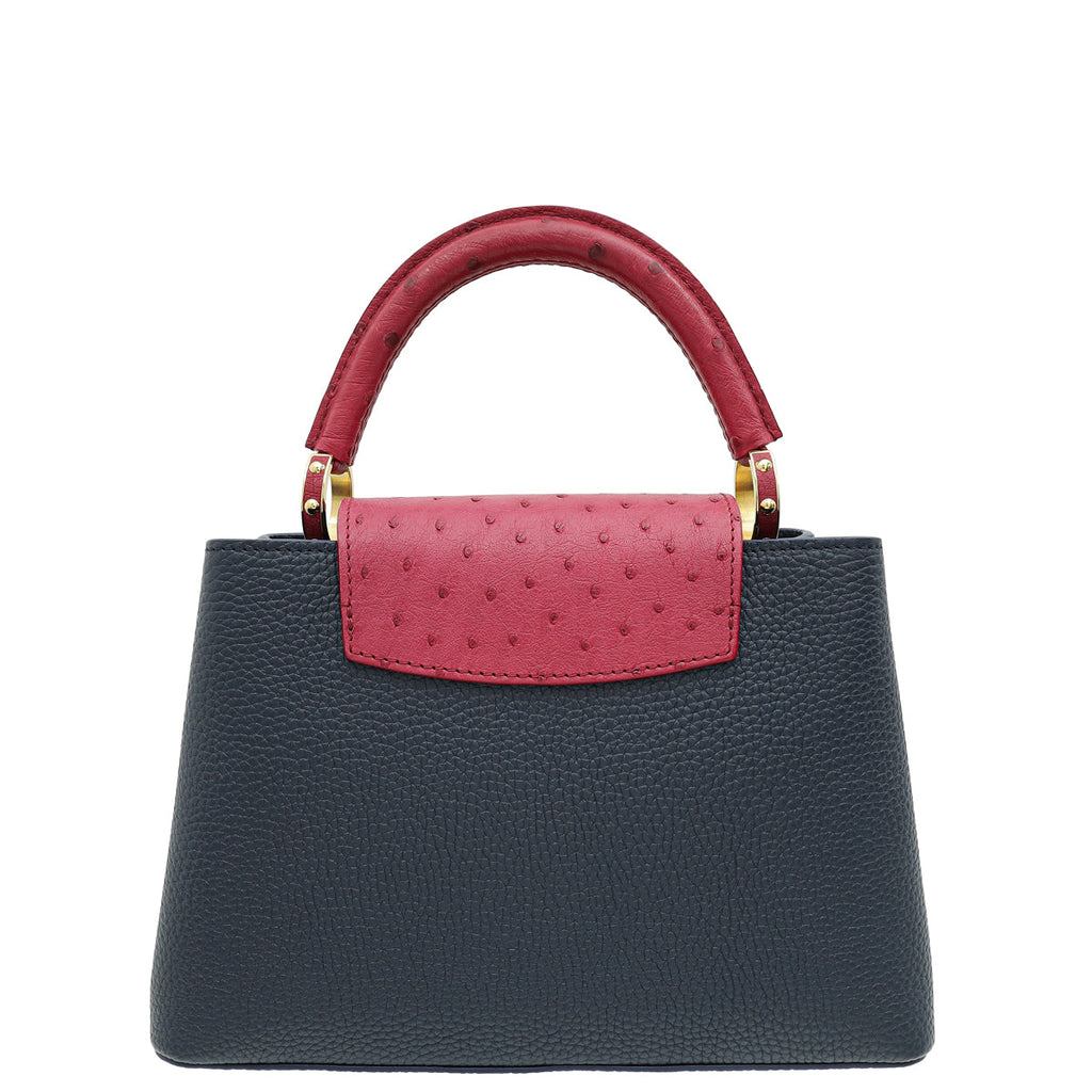 Louis Vuitton Bicolor Taurillon Ostrich Capucines BB Bag