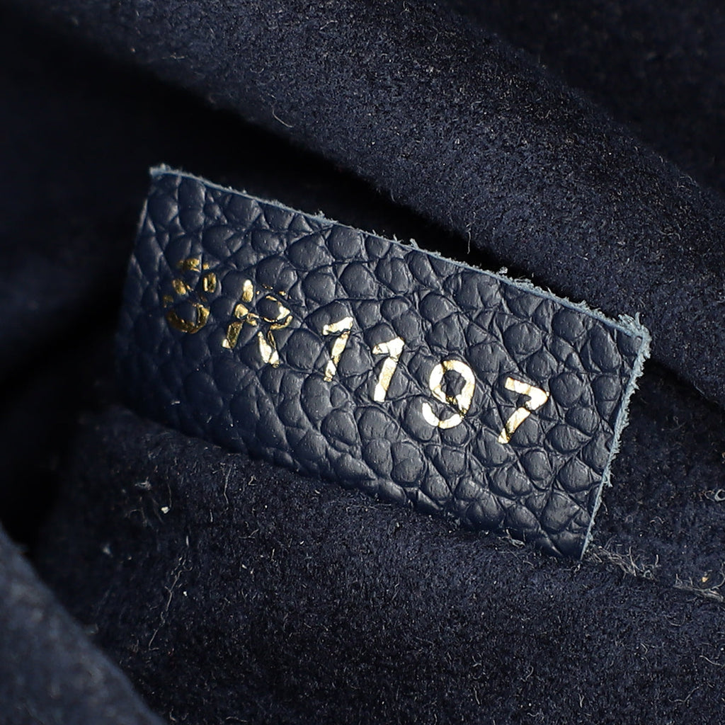 Louis Vuitton Monogram Indigo Venus Bag