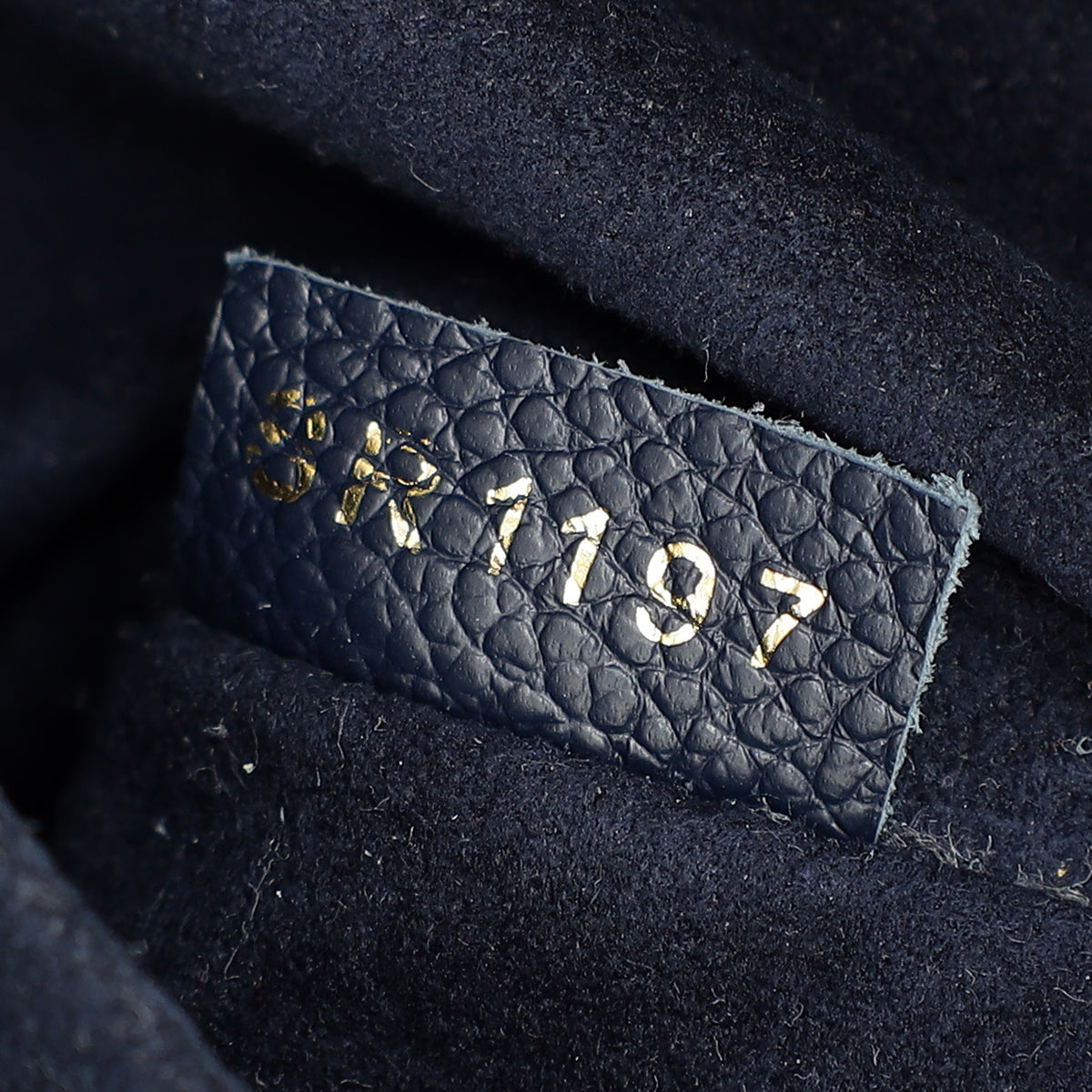 Louis Vuitton Monogram Indigo Venus Bag