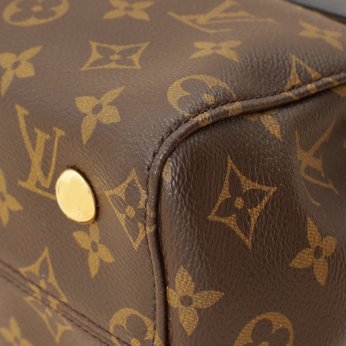 Louis Vuitton Monogram Indigo Venus Bag