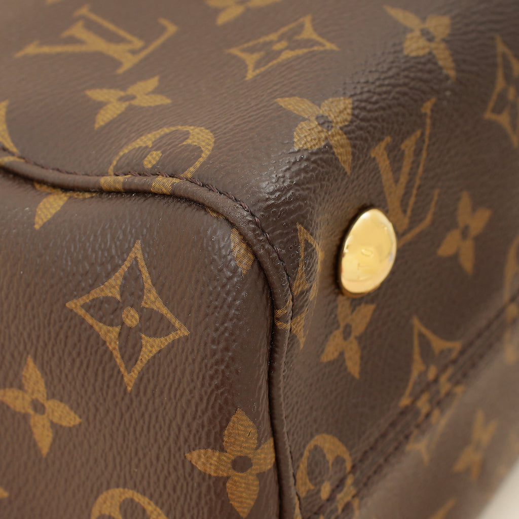 Louis Vuitton Monogram Indigo Venus Bag