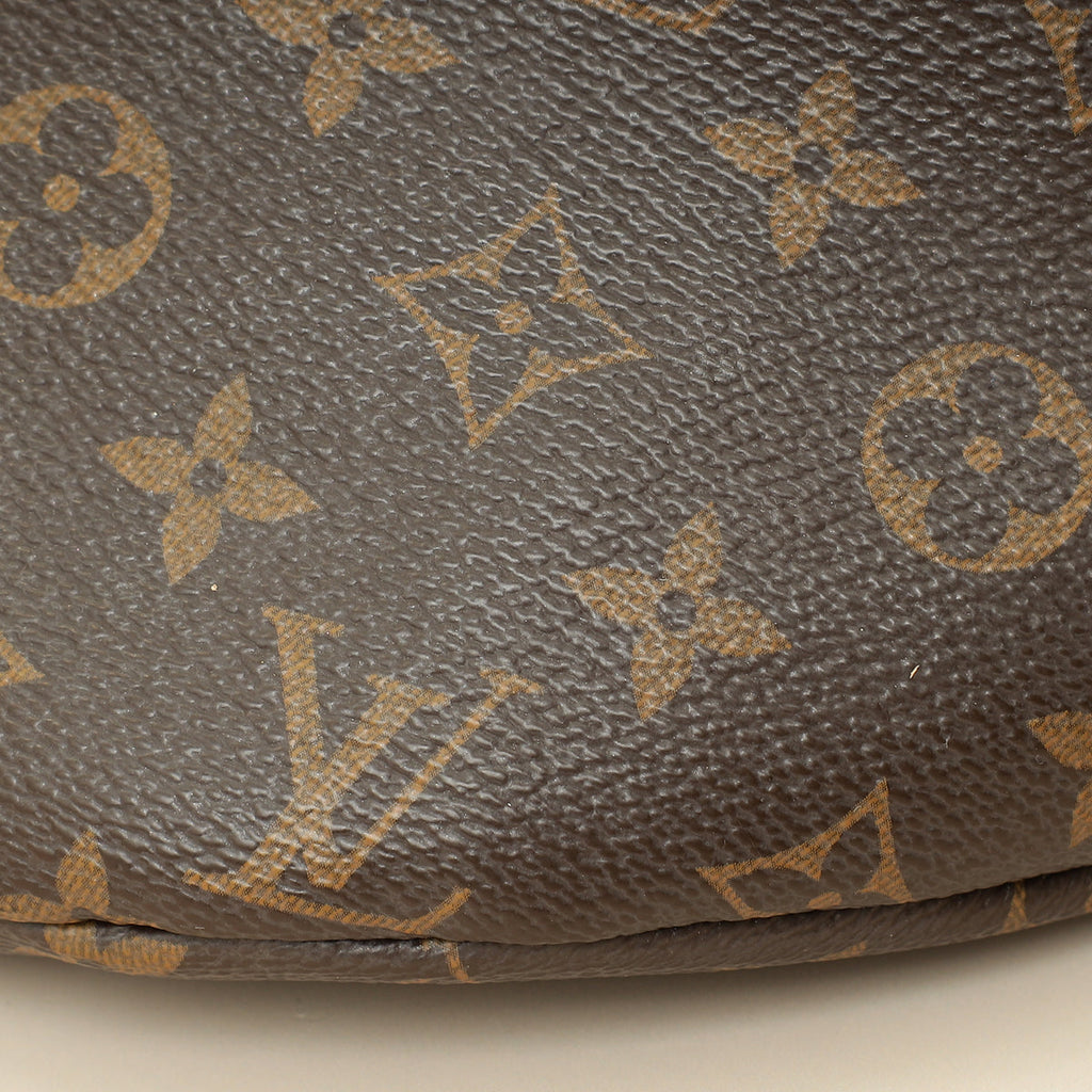 Louis Vuitton Brown Monogram Bumbag