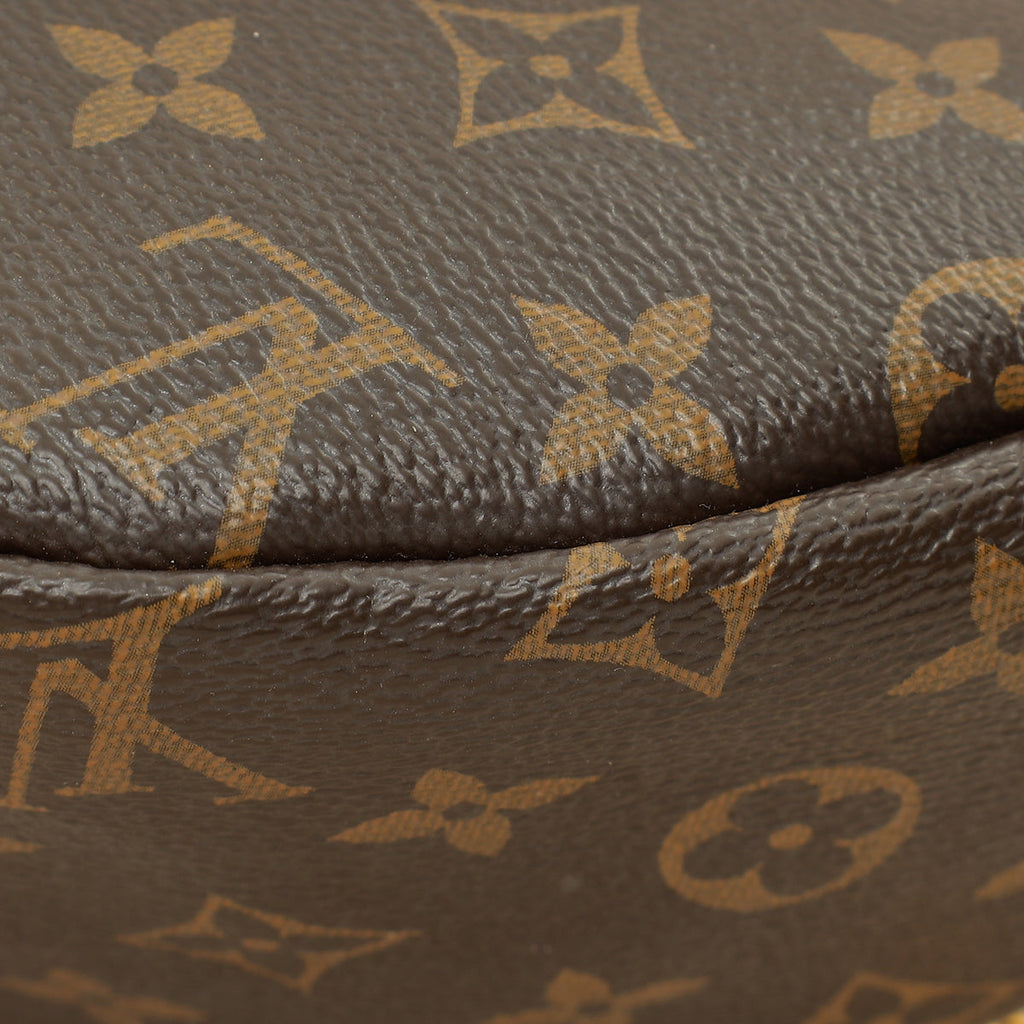 Louis Vuitton Brown Monogram Bumbag