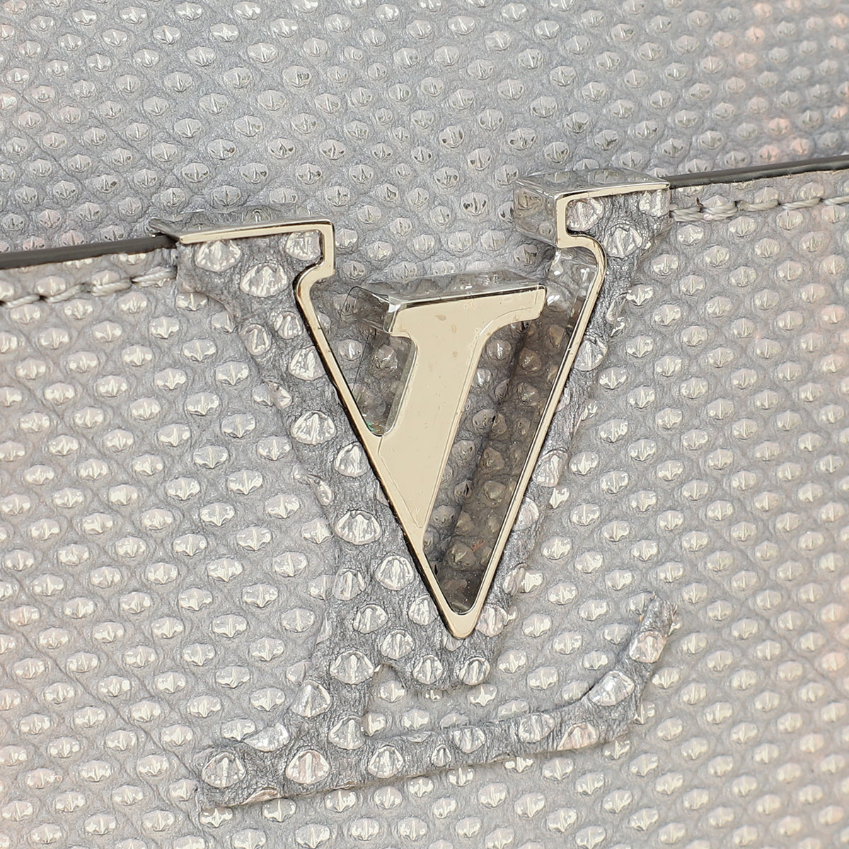 Louis Vuitton Bicolor Metallic Karung Capucines Mini Bag