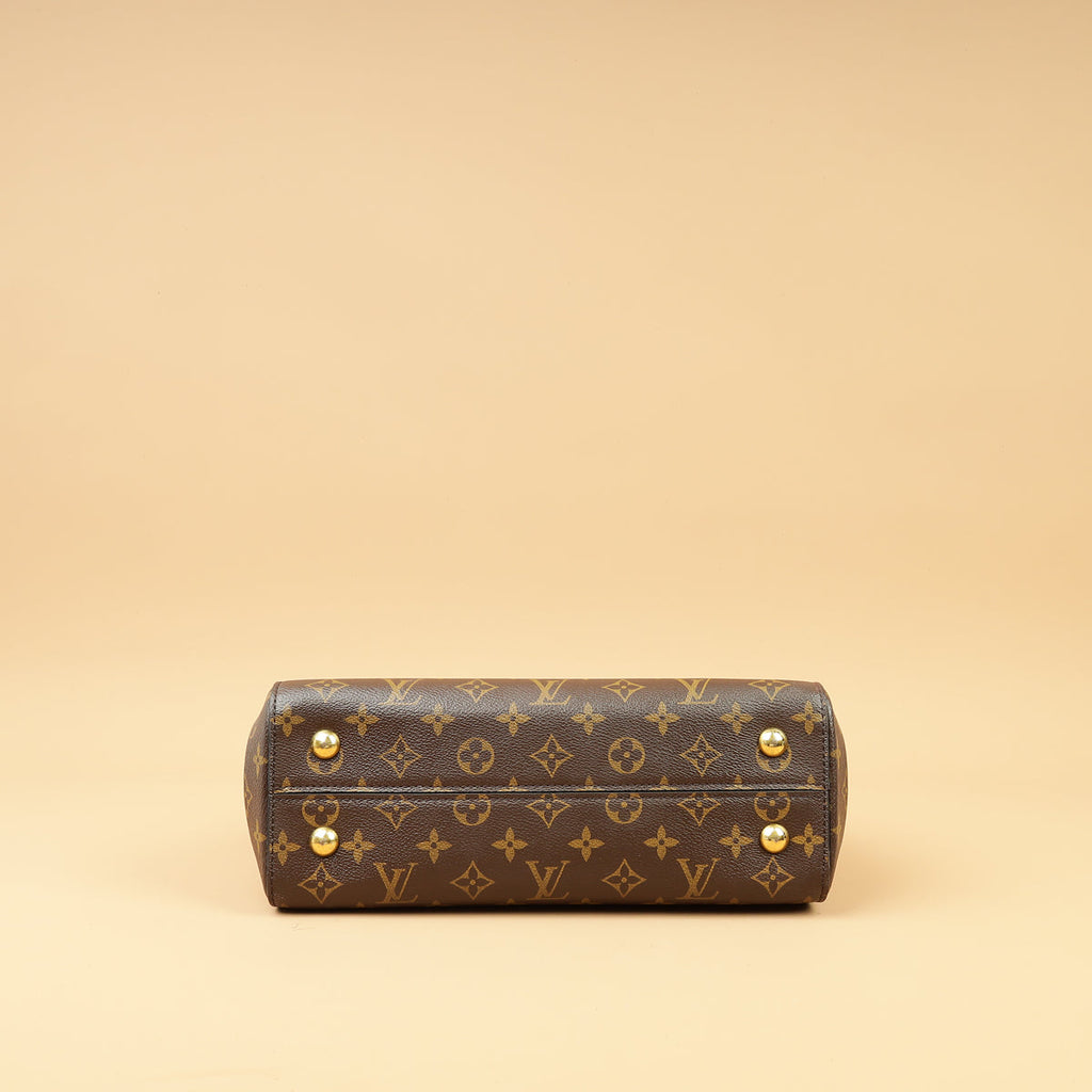 Louis Vuitton Brown Monogram Cluny MM Bag