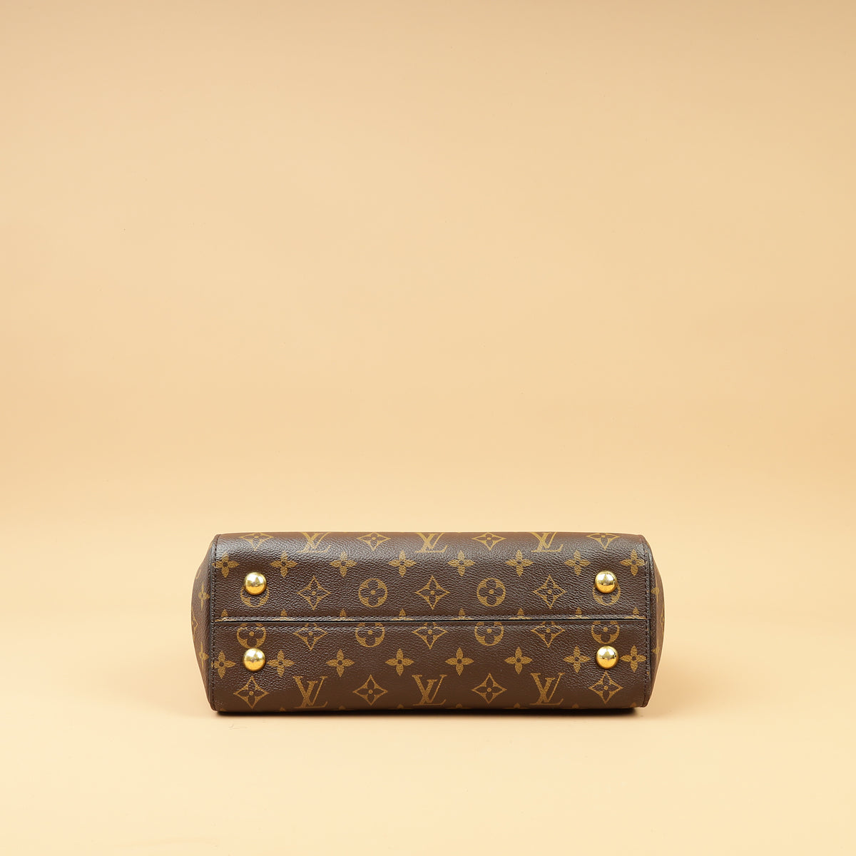 Louis Vuitton Brown Monogram Cluny MM Bag