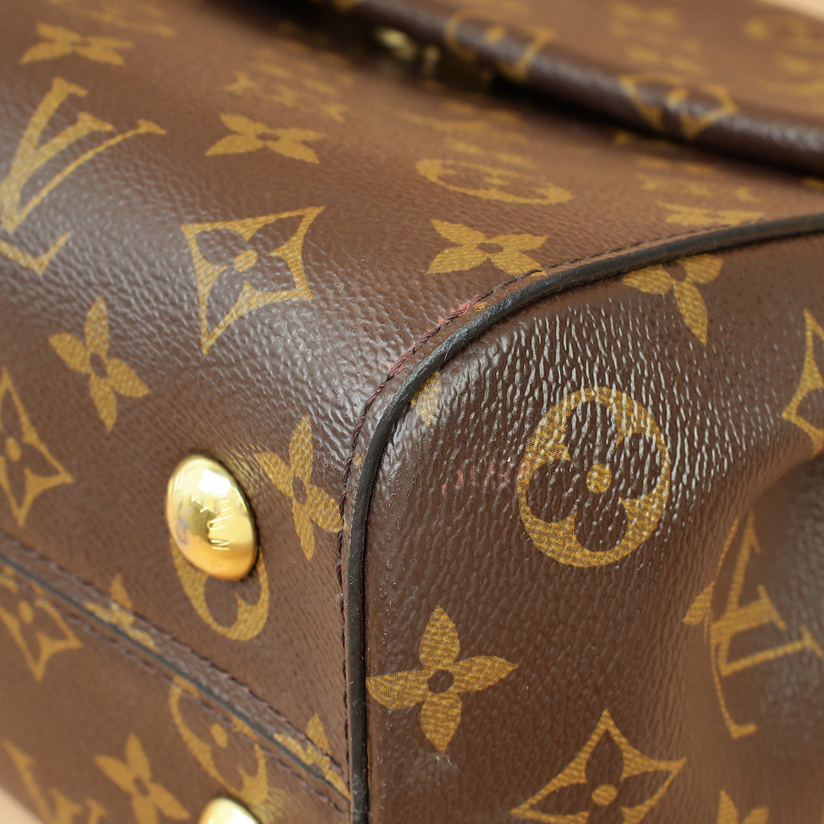 Louis Vuitton Brown Monogram Cluny MM Bag