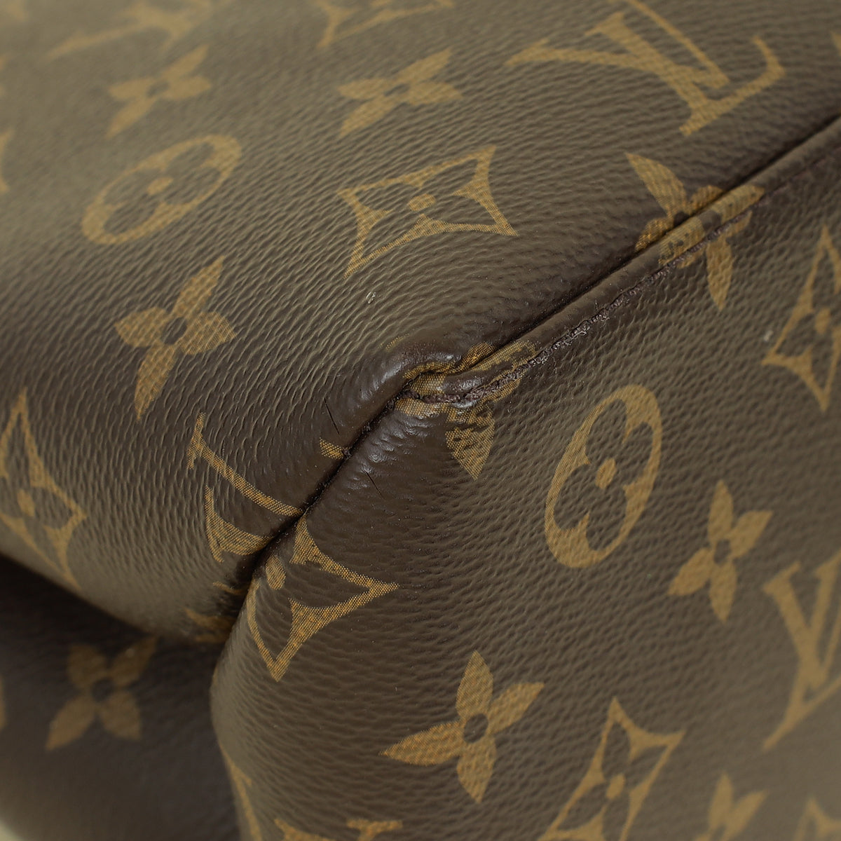 Louis Vuitton Monogram Petit Palais Tote Bag