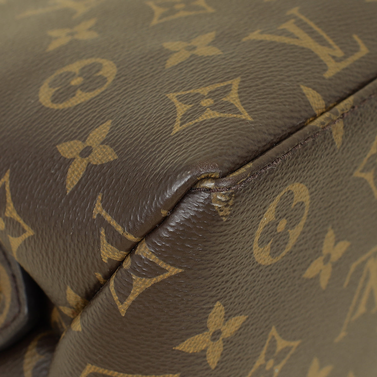 Louis Vuitton Monogram Petit Palais Tote Bag