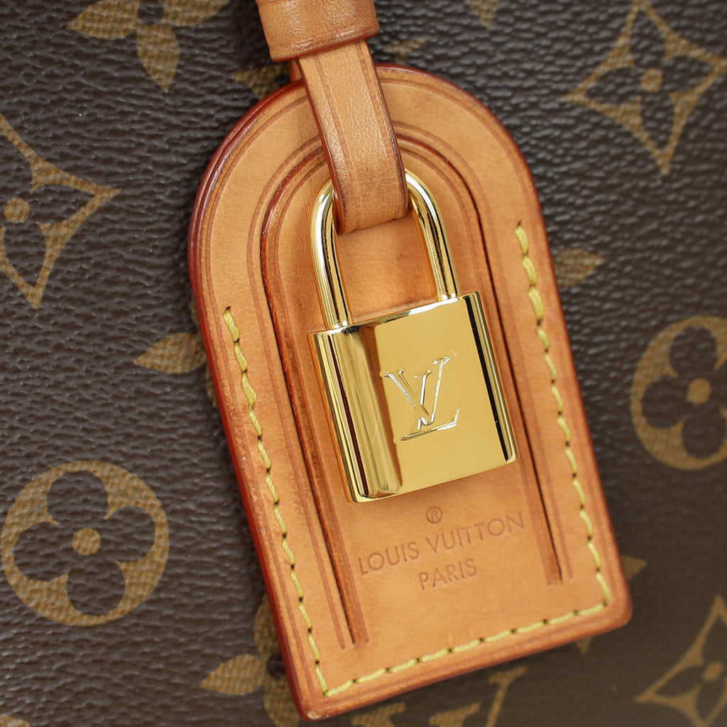 Louis Vuitton Monogram Petit Palais Tote Bag
