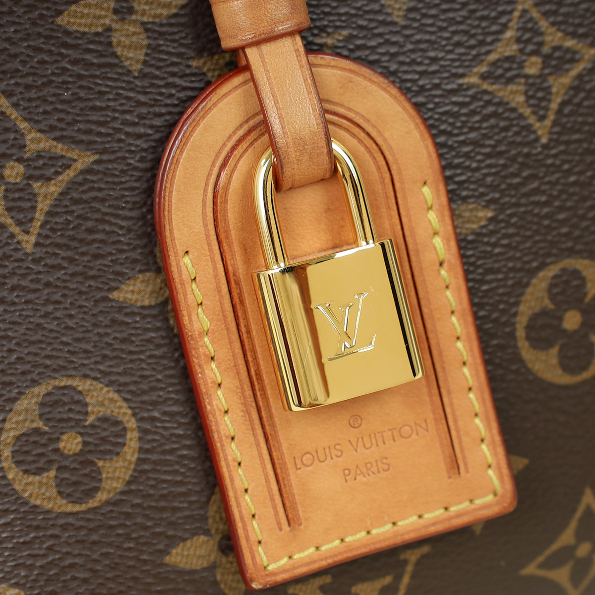 Louis Vuitton Monogram Petit Palais Tote Bag