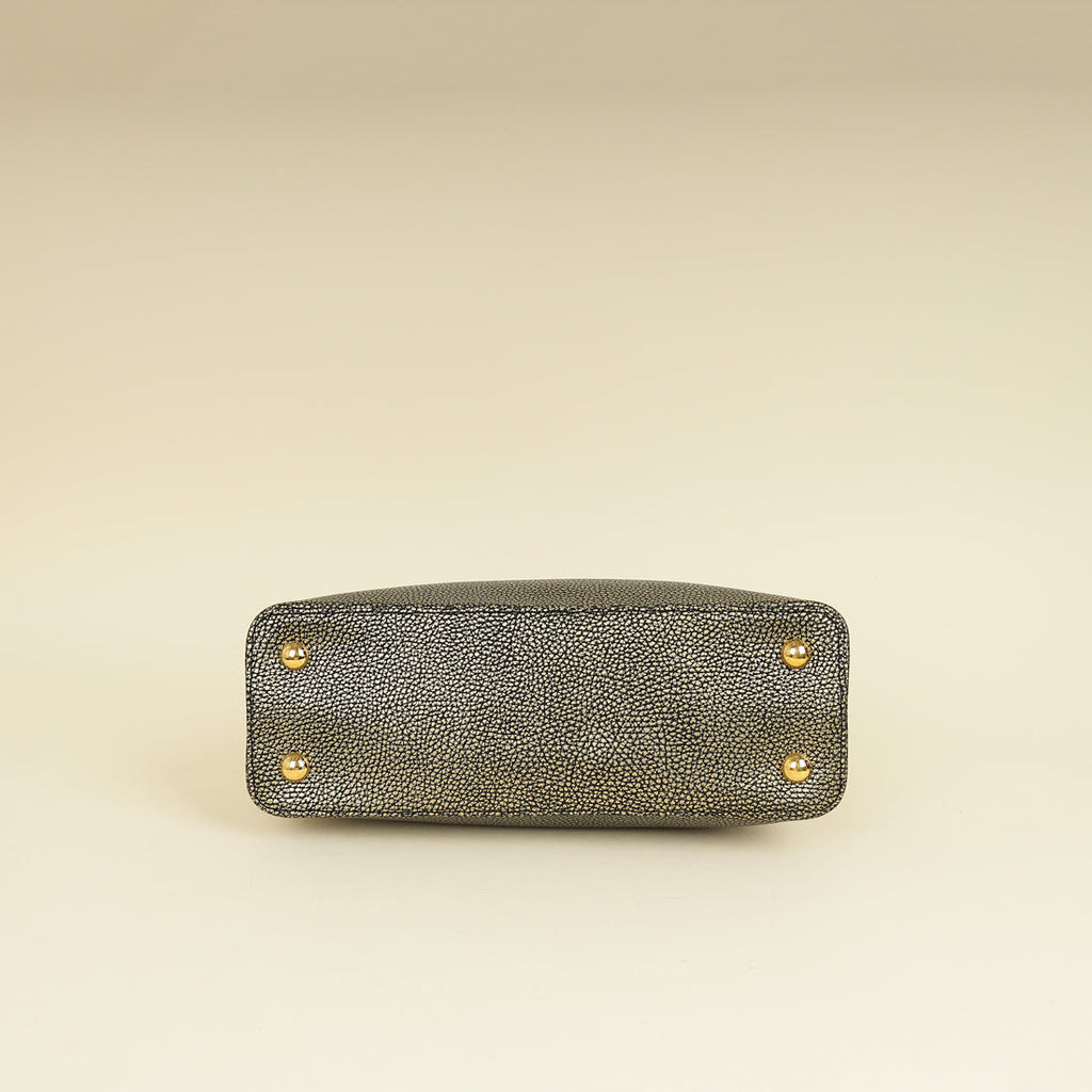 Louis Vuitton Bicolor Capucines MM Bag
