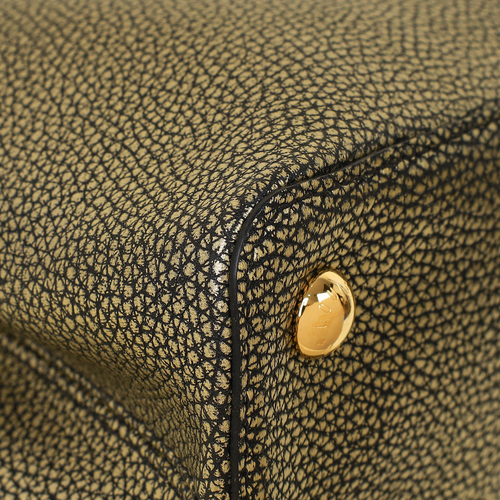 Louis Vuitton Bicolor Capucines MM Bag