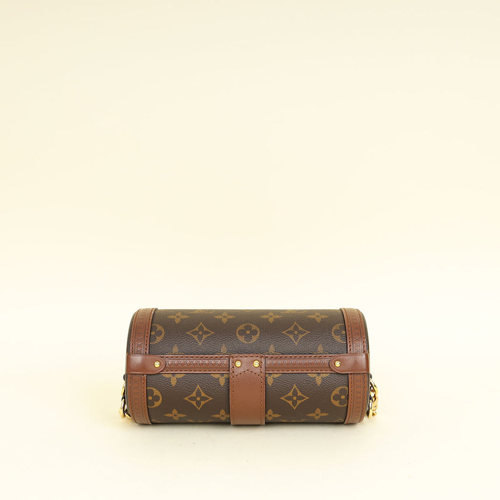 Louis Vuitton Brown Monogram Papillon Trunk Bag