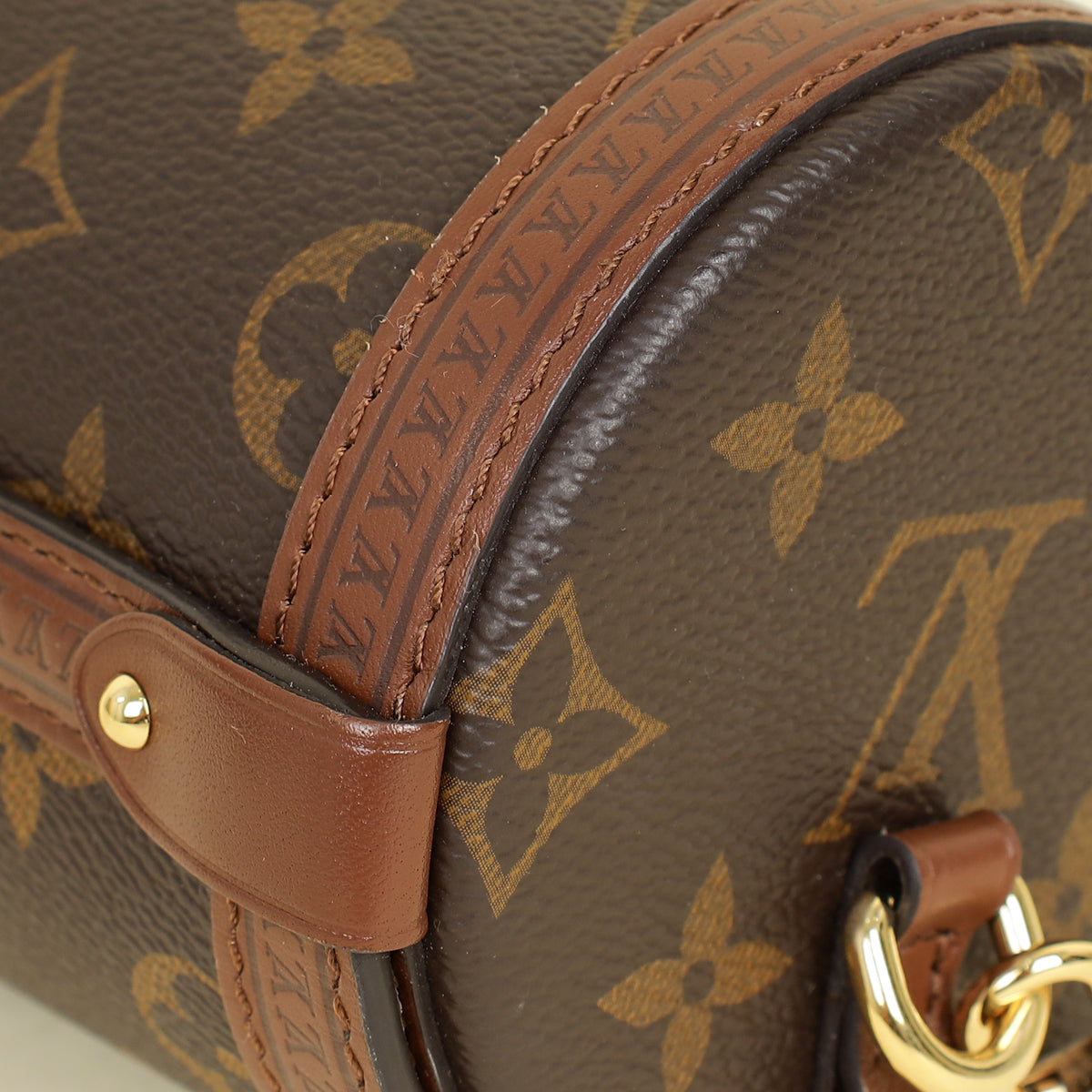 Louis Vuitton Brown Monogram Papillon Trunk Bag