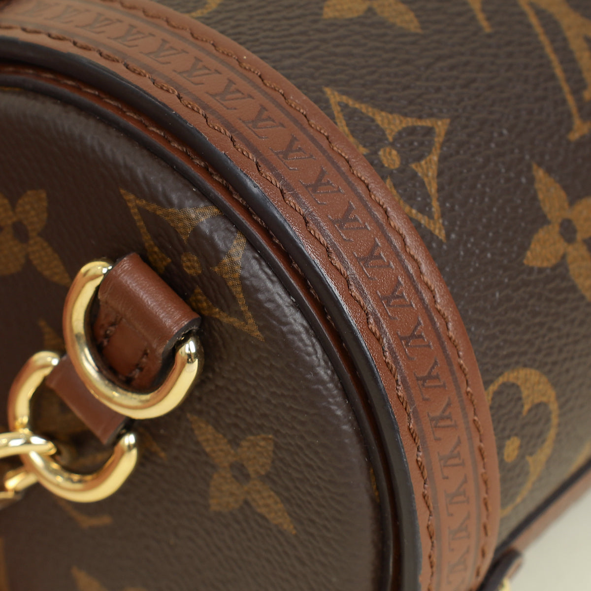 Louis Vuitton Brown Monogram Papillon Trunk Bag