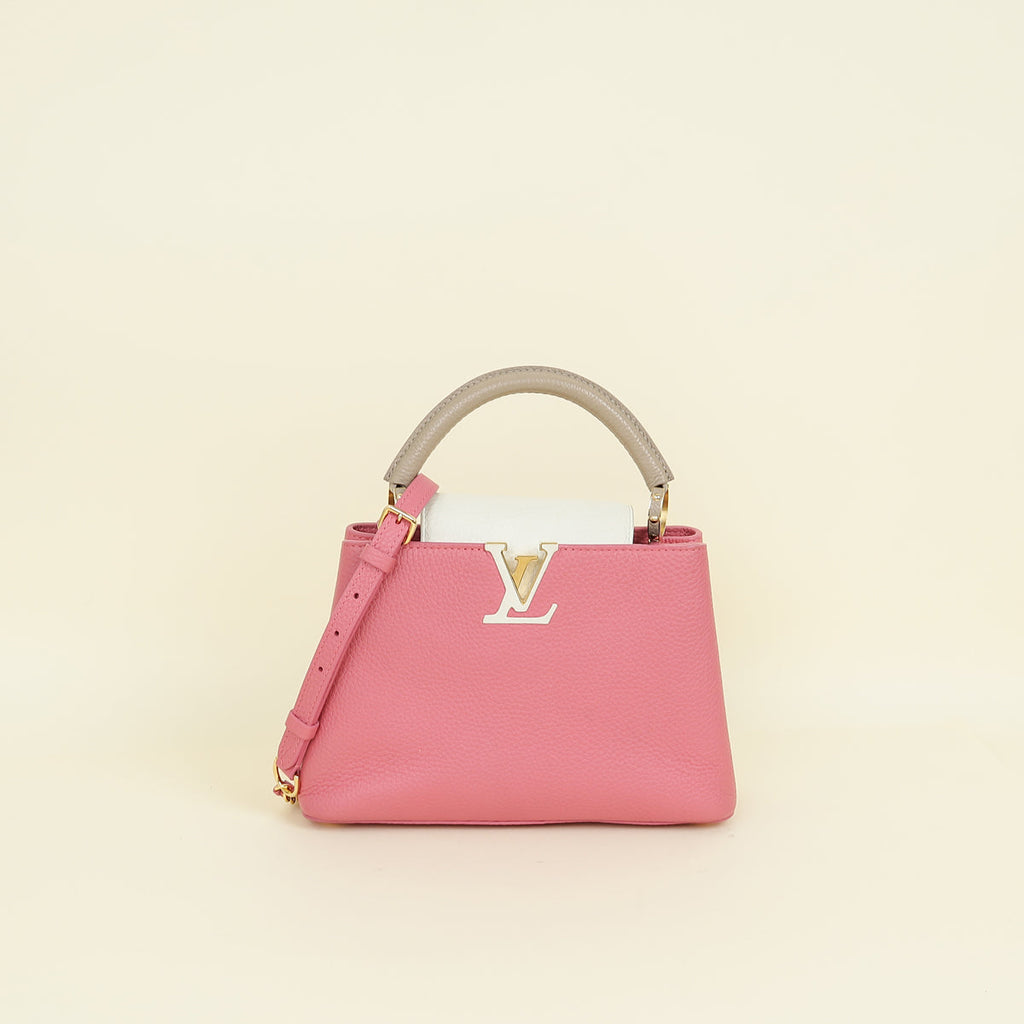 Louis Vuitton Tricolor Capucines BB Taurillon Leather Bag