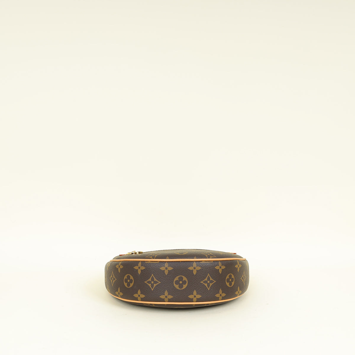 Louis Vuitton Monogram Loop Bag