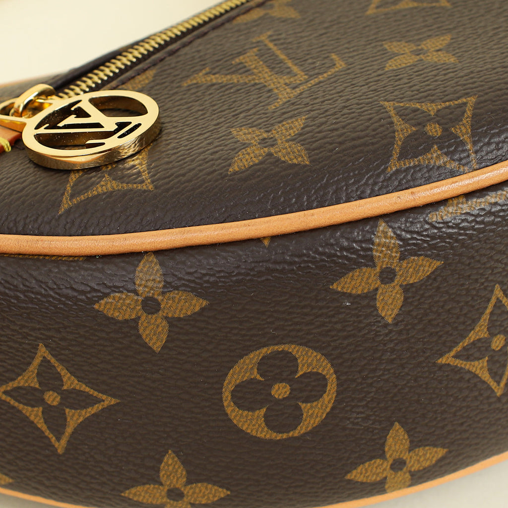 Louis Vuitton Monogram Loop Bag