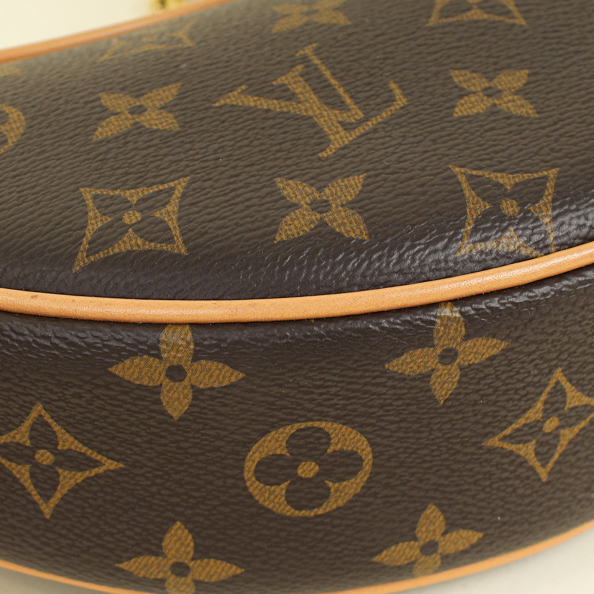 Louis Vuitton Monogram Loop Bag