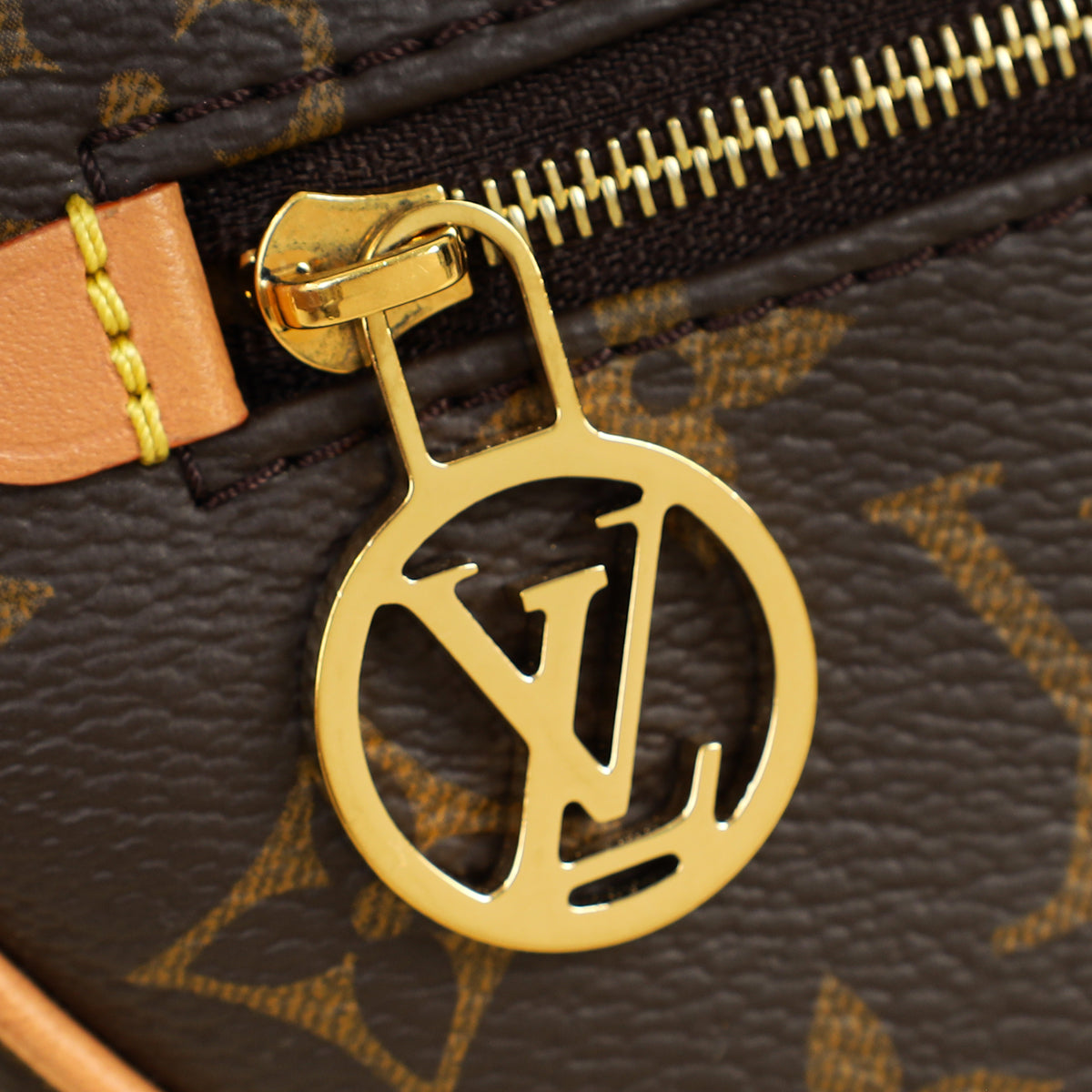 Louis Vuitton Monogram Loop Bag