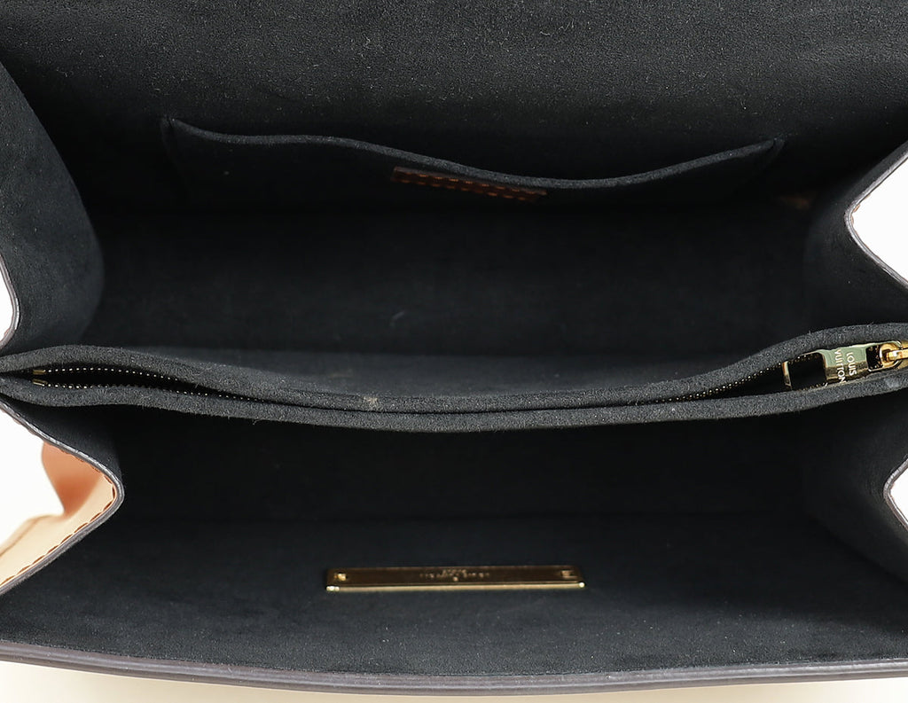 Louis Vuitton Monogram Reverse Dauphine MM Bag
