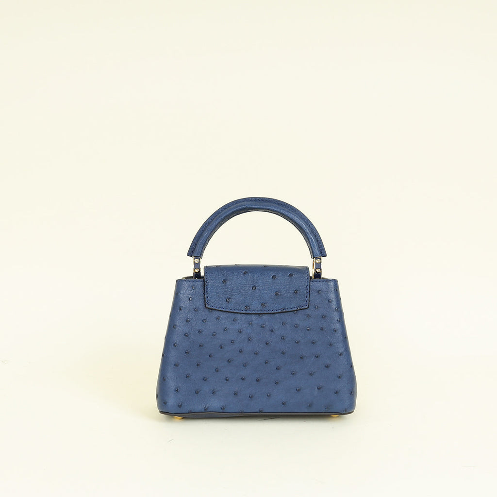 Louis Vuitton Indigo Ostrich Capucines Mini Bag