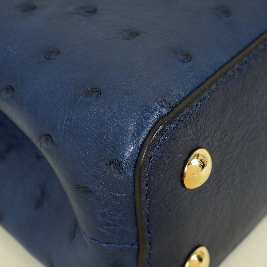 Louis Vuitton Indigo Ostrich Capucines Mini Bag