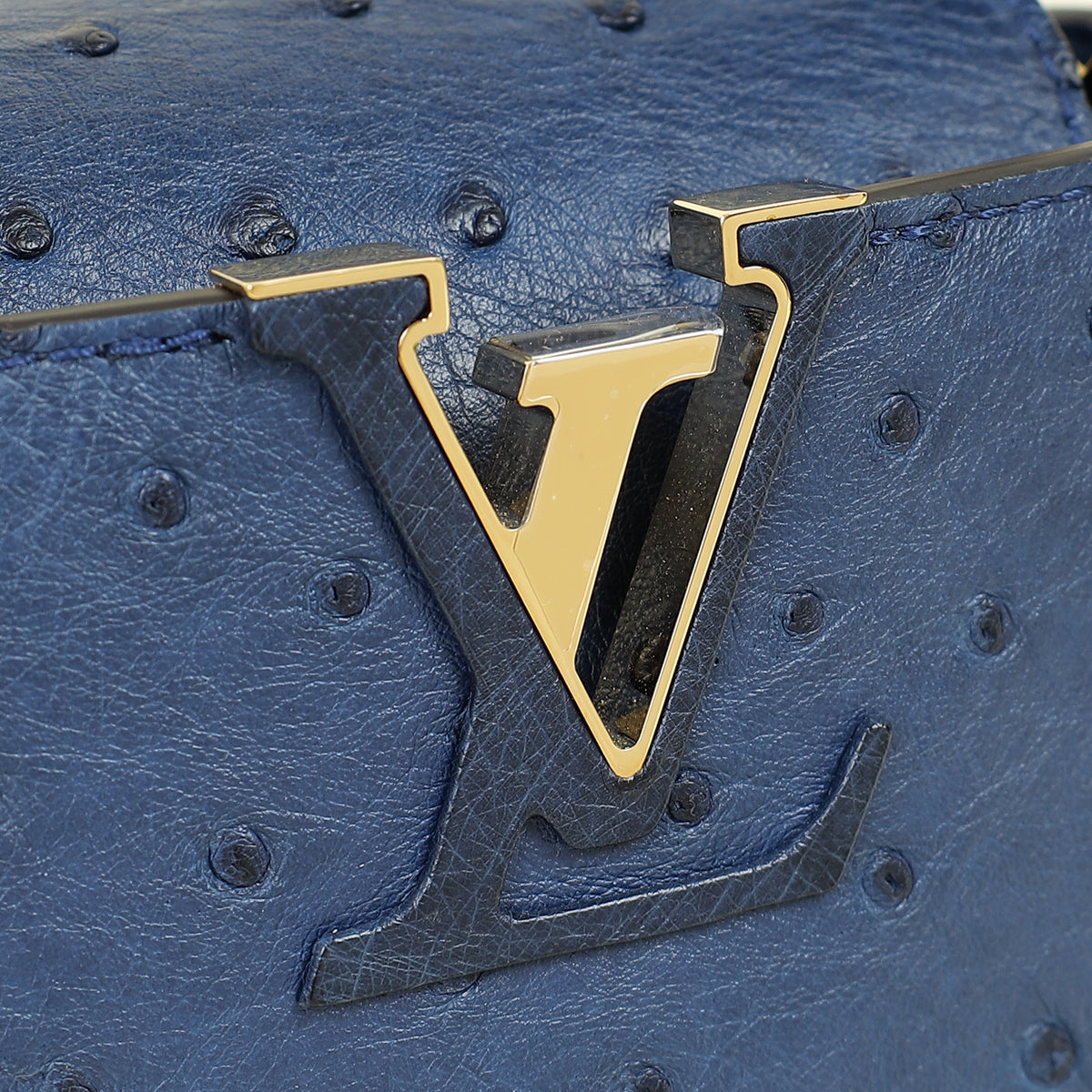 Louis Vuitton Indigo Ostrich Capucines Mini Bag