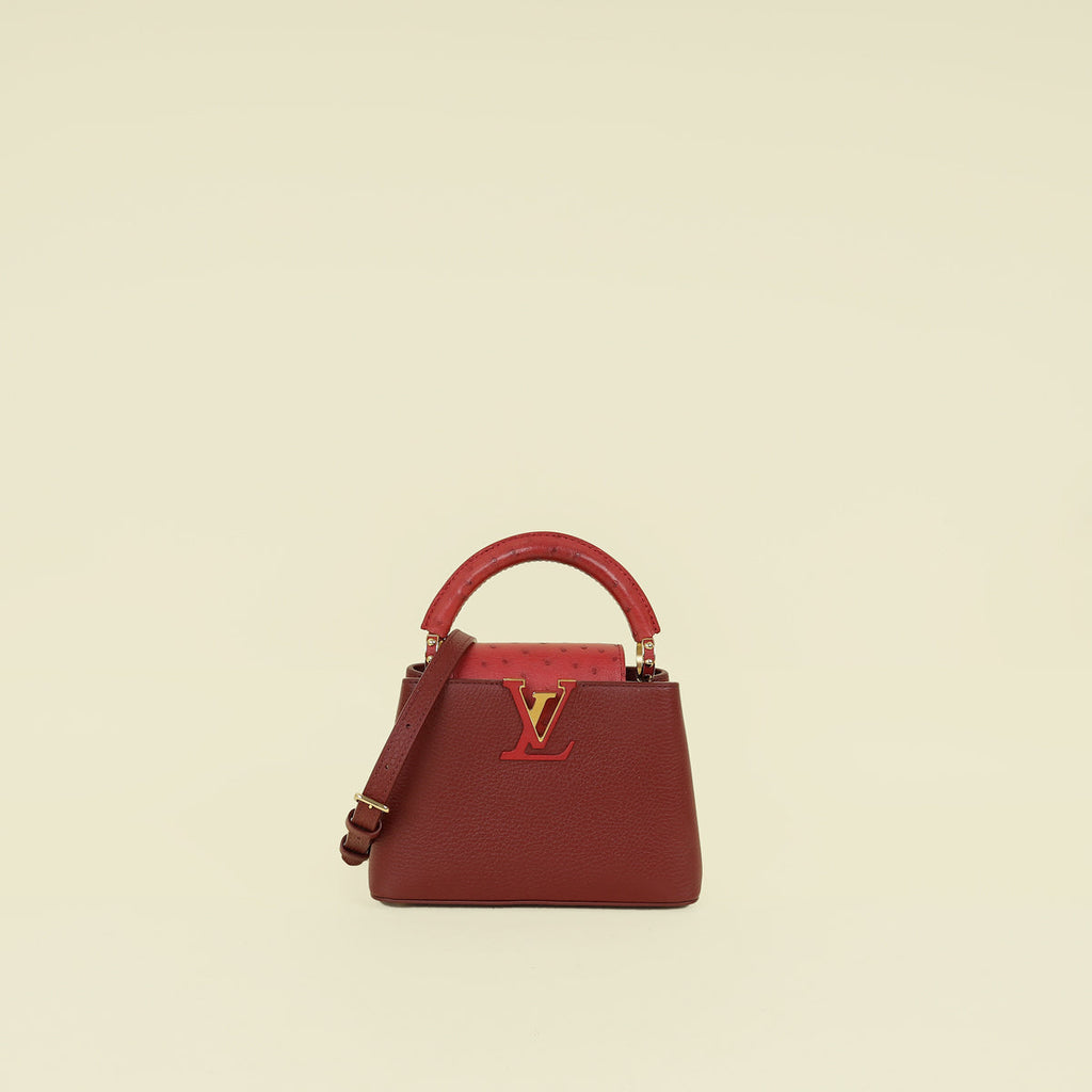 Louis Vuitton Bicolor Mini Capucines Bag