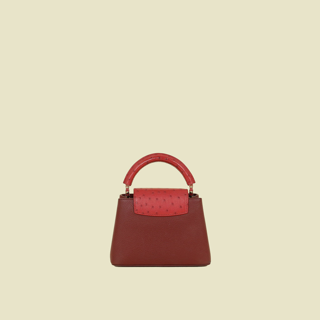 Louis Vuitton Bicolor Mini Capucines Bag