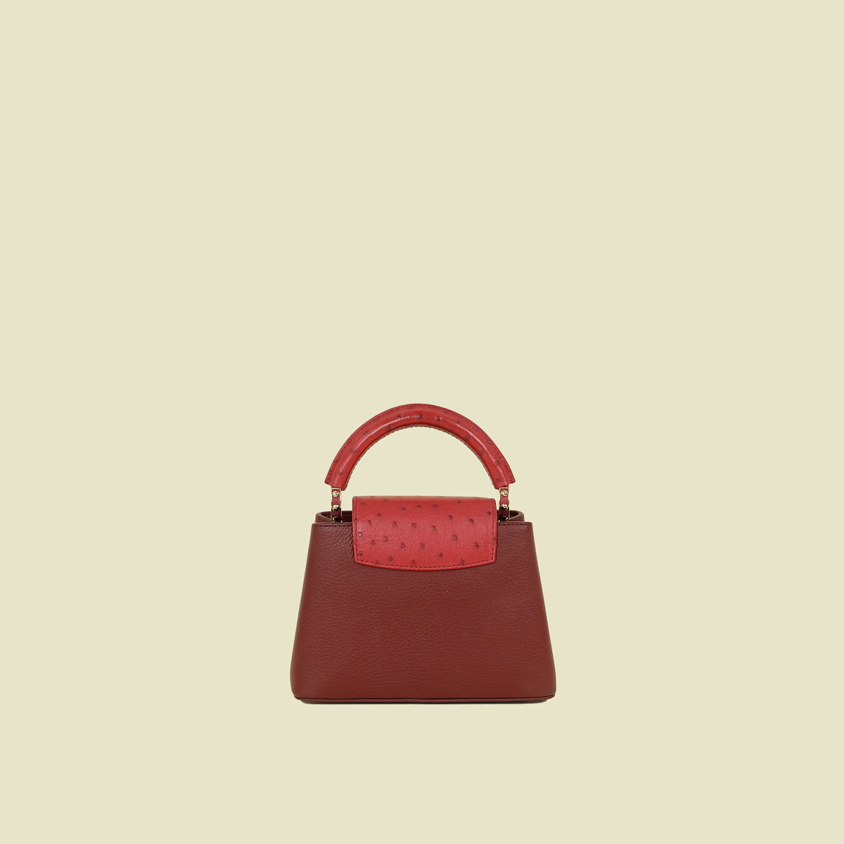 Louis Vuitton Bicolor Mini Capucines Bag