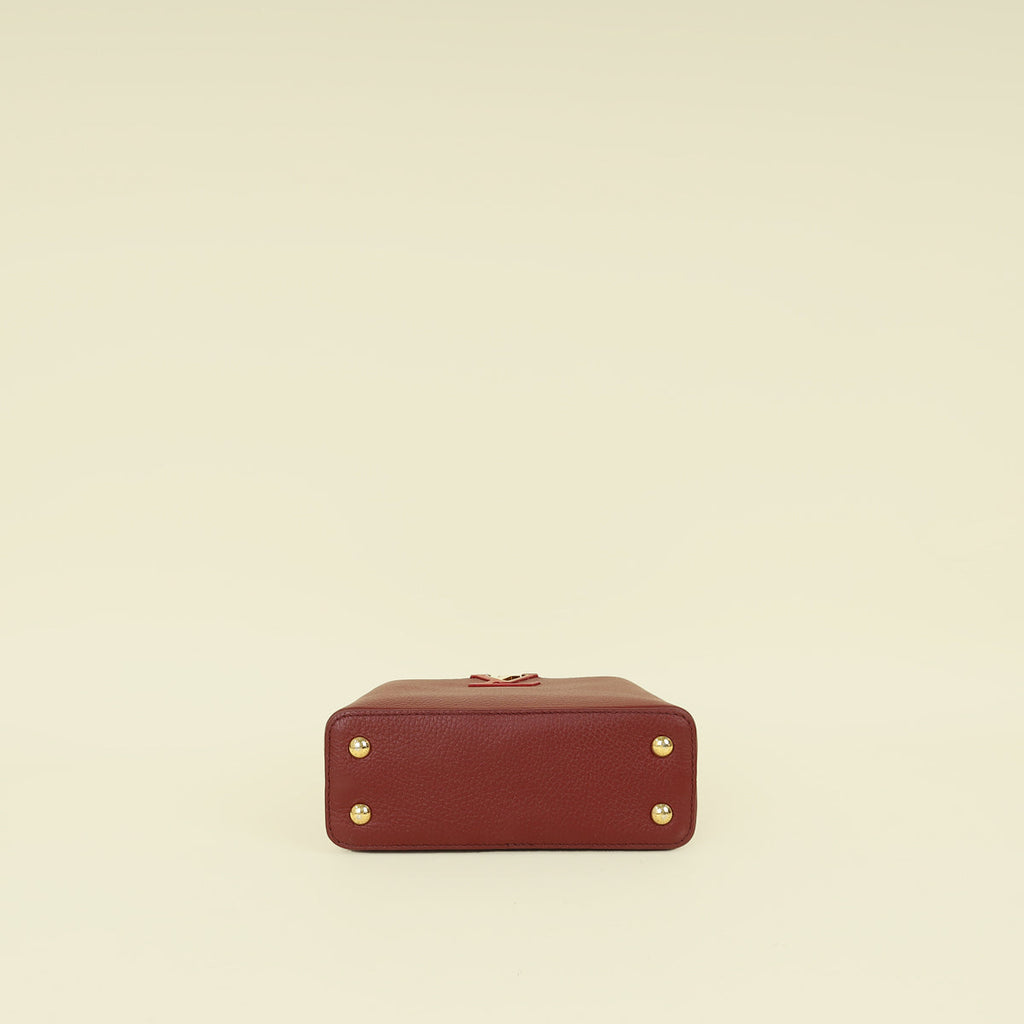 Louis Vuitton Bicolor Mini Capucines Bag