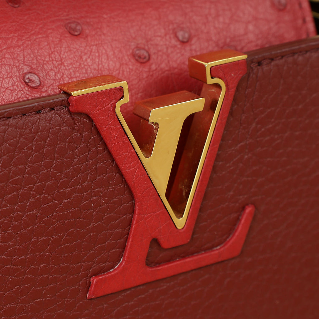 Louis Vuitton Bicolor Mini Capucines Bag