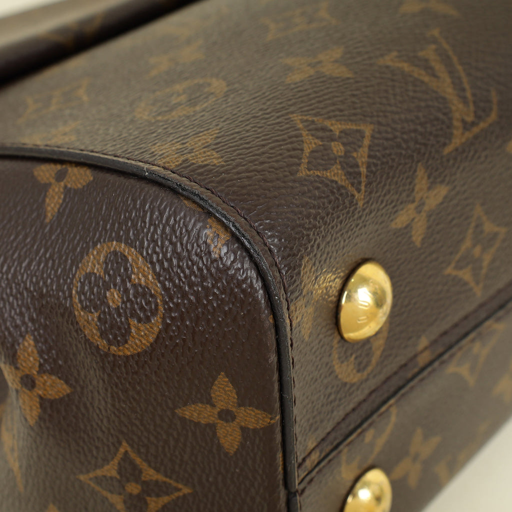 Louis Vuitton Monogram Cluny MM Bag