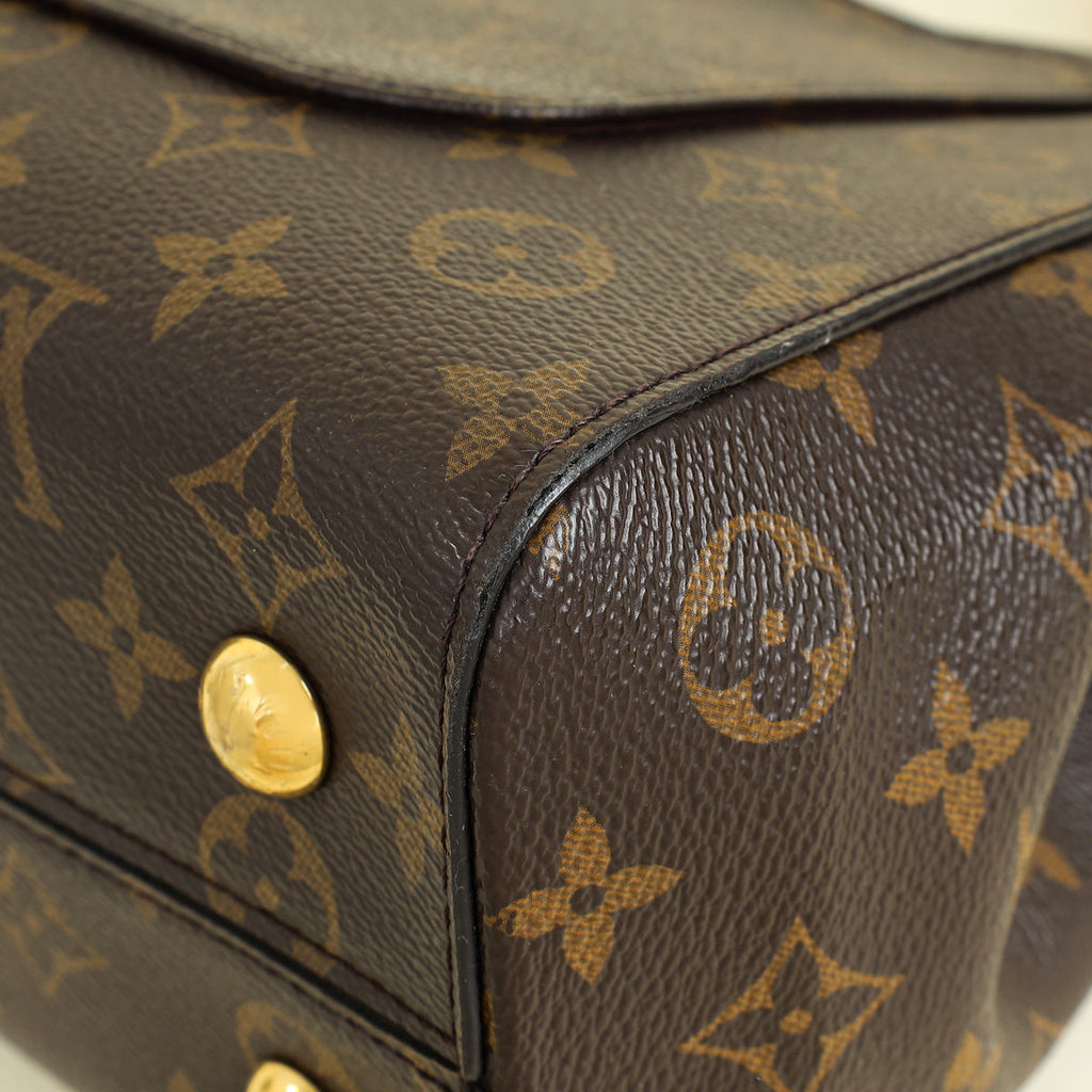 Louis Vuitton Monogram Cluny MM Bag
