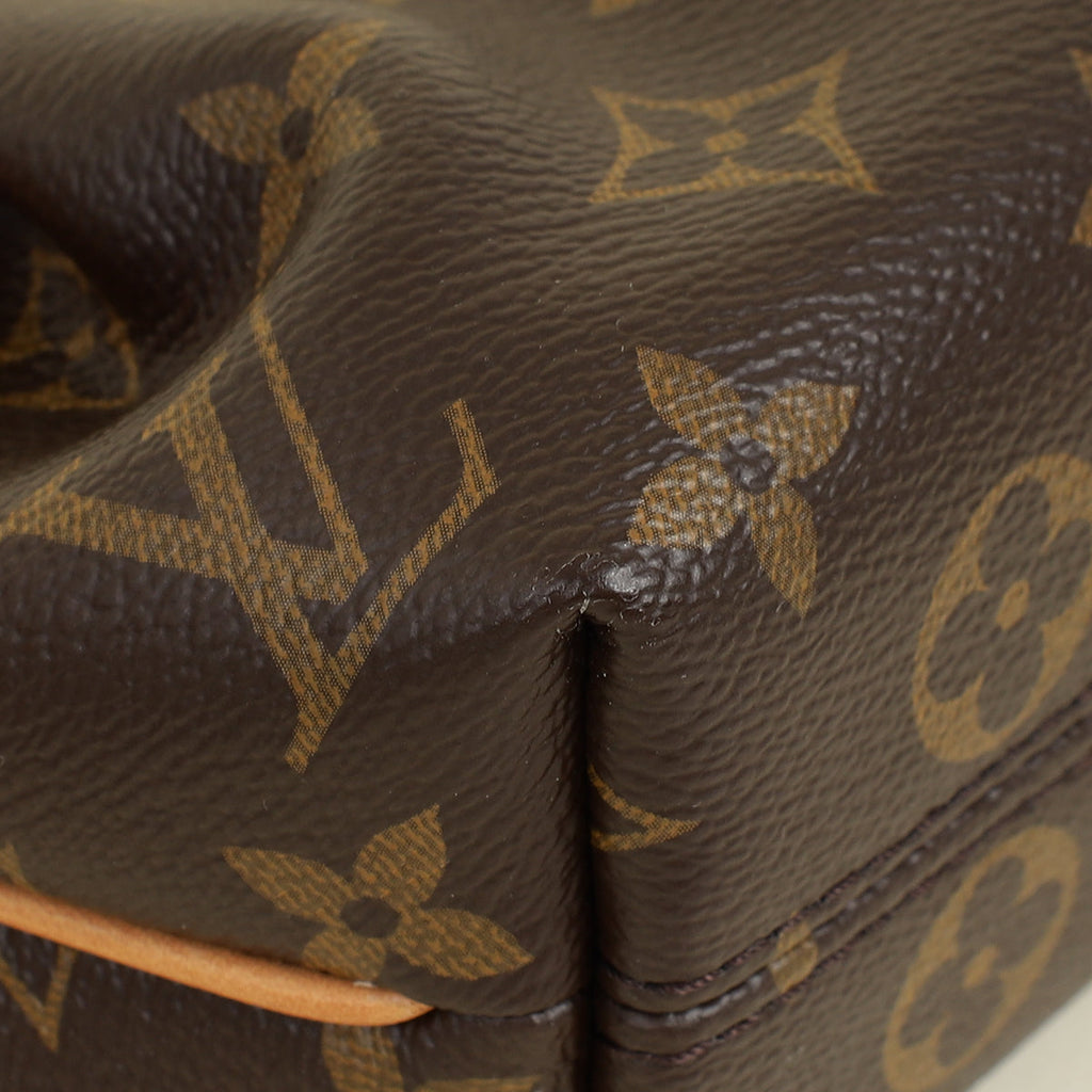 Louis Vuitton Monogram Nano Turenne Bag