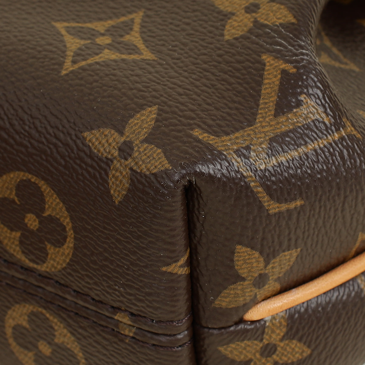 Louis Vuitton Monogram Nano Turenne Bag