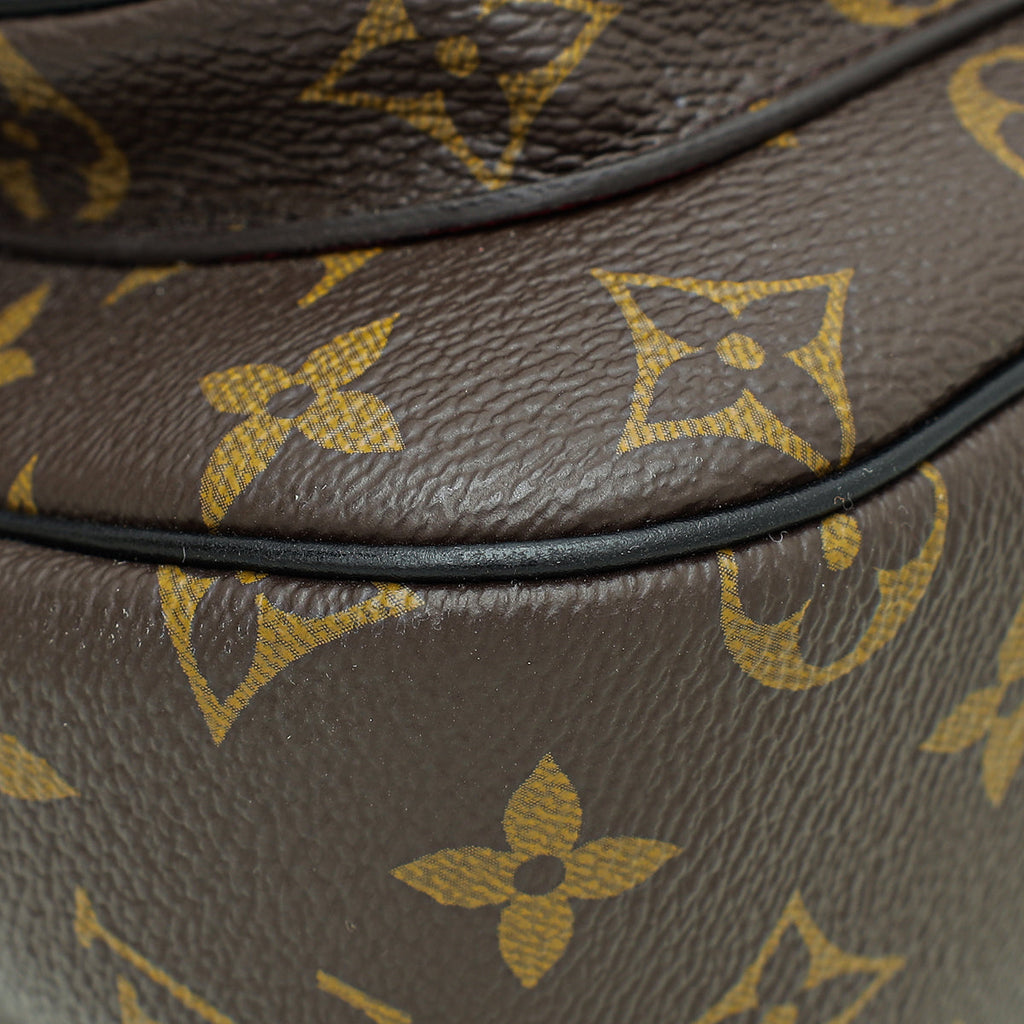 Louis Vuitton Brown Monogram Passy Bag