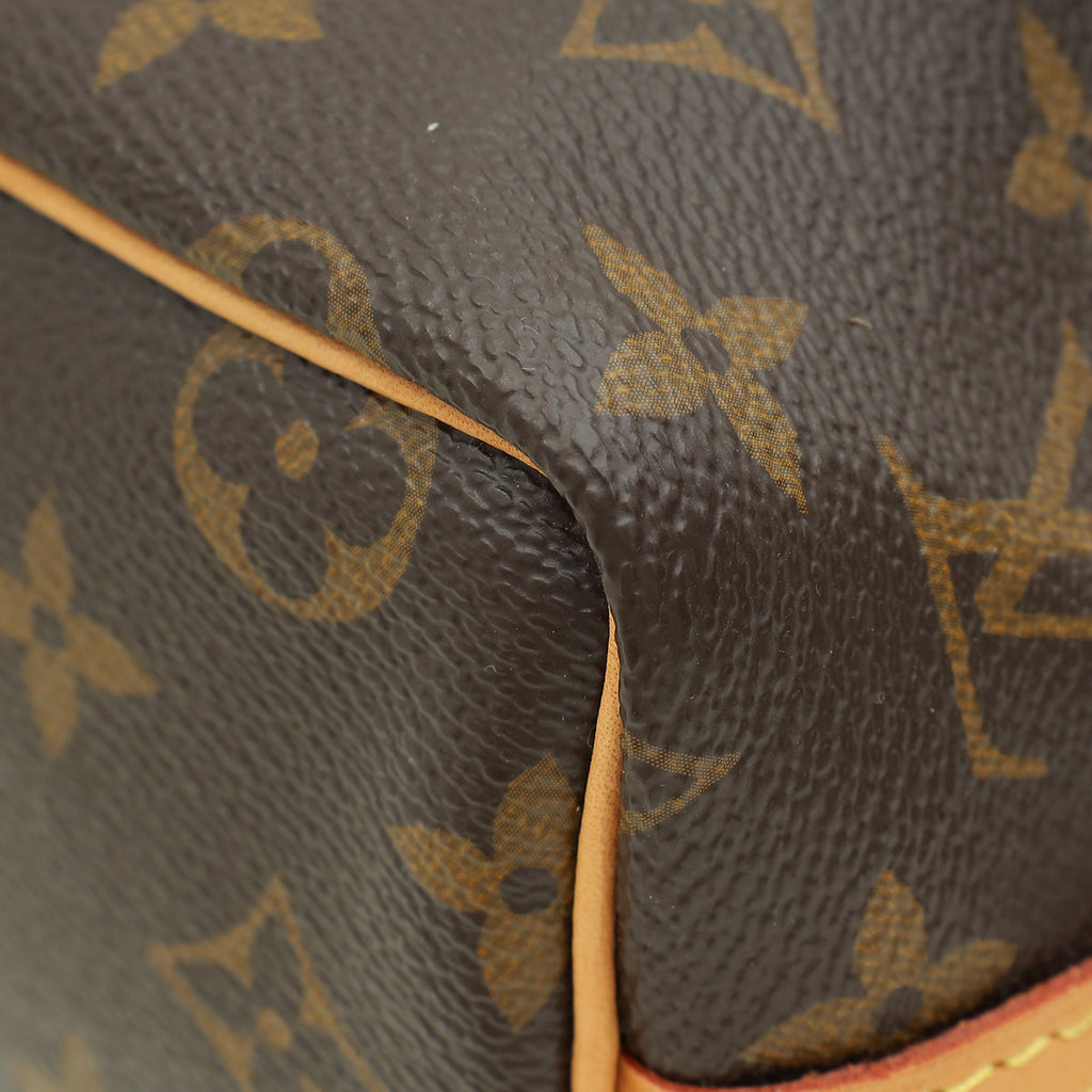 Louis Vuitton Brown Nano Noé Bag