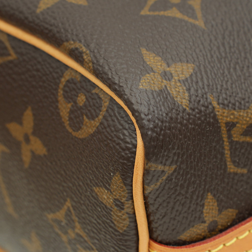 Louis Vuitton Brown Nano Noé Bag