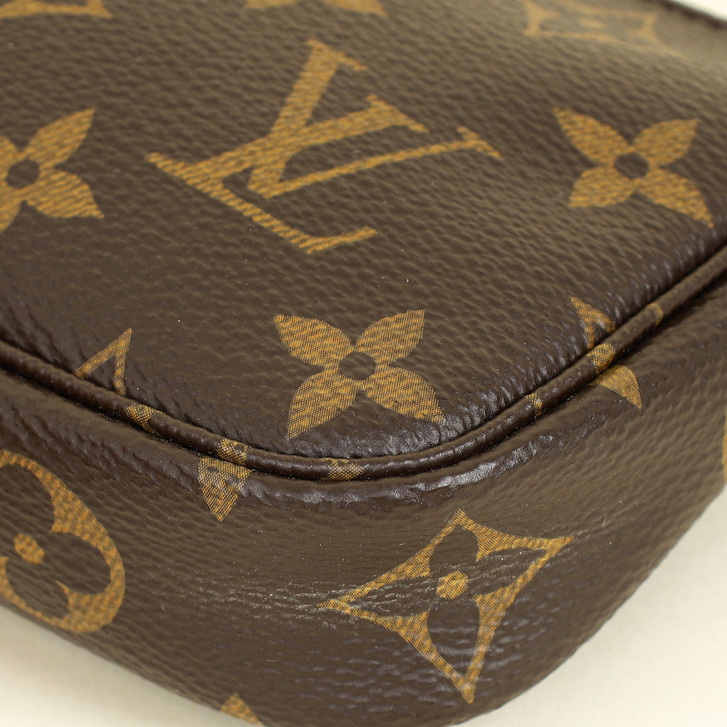 Louis Vuitton Brown Mini Pochette Accessoires