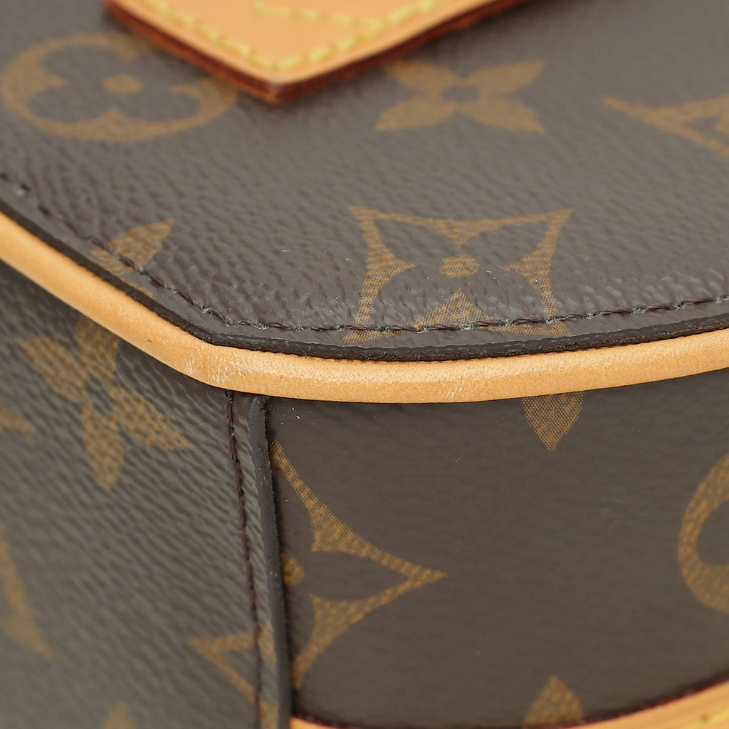 Louis Vuitton Brown Monogram Mini Boîte Chapeau Bag